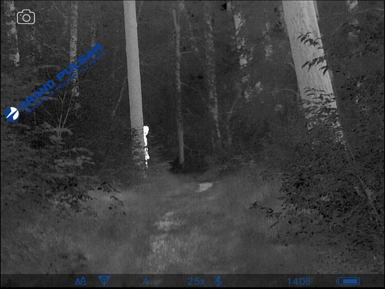 дерево через тепловизор. маскировка от тепловизора. маскировка для снайпера от тепловизора. тепловизор видит следы. защитные накидки от тепловизора.